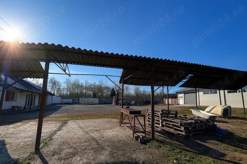 Spa?iu industrial complet utilat, Dragane?ti, Bihor - 12