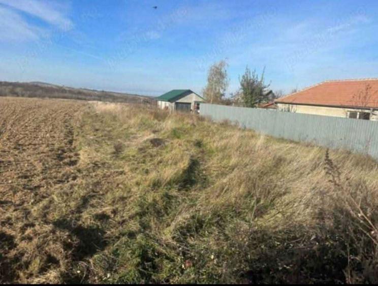 Teren intravilan Sarand , jud Bihor - 2