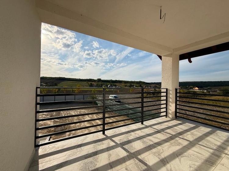 Proprietar-Casa în sat Dumbrava, Comuna Ciurea, Jud Iași, str. DJ 248D, nr. 385. - 4