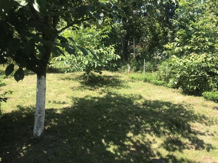 vand apartament o camera Balcescu 56000 euro - 3