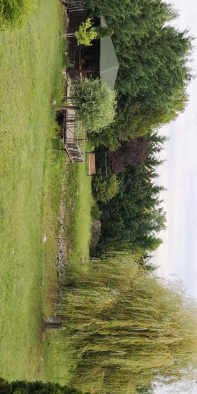 Vila 16 camere si 3 ha teren intravilan - 2