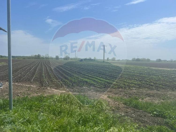 Teren intravilan/extravilan Jorasti / Strada Forturi ( principala) - 3