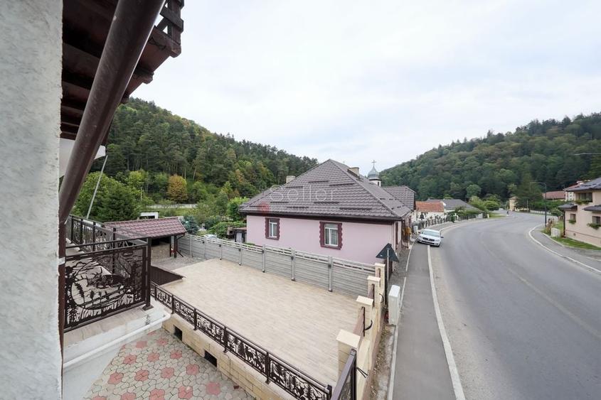 Proximitate imediata fata de Castelul Bran - 43