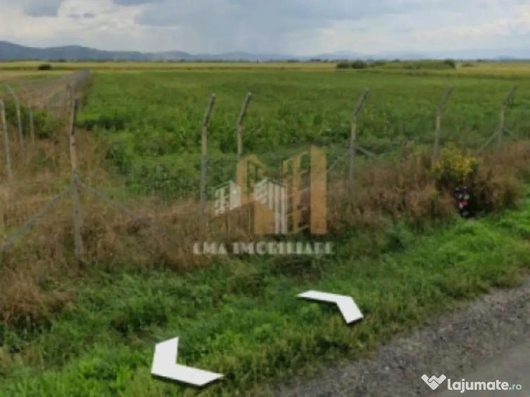 Teren intravilan industrial DN 13 Calea Feldioarei Brasov - 4