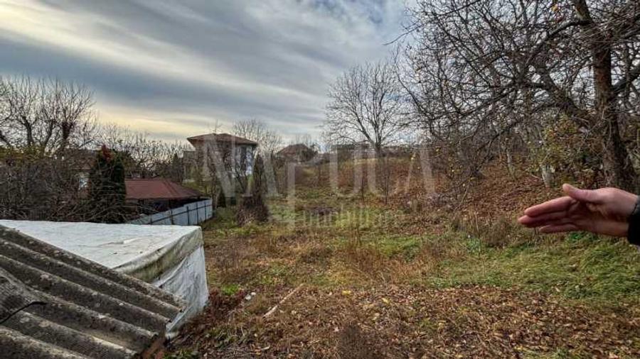 Casa 2 camere de vanzare in Dambul Rotund, Cluj Napoca - 7