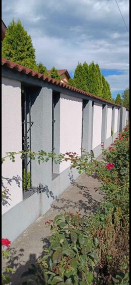 Casa, curte si gradina in Vanatori-Vrancea - 7