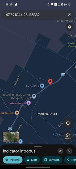 Teren 46 ari cu casa batraneasca Mediesu Aurit - 1