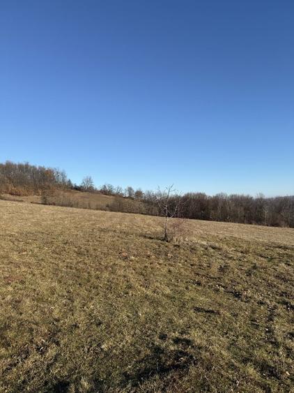 Teren de vanzare 10 000 mp - 5