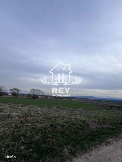 Teren Arabil Turni?or - Spre ferma de pui - 4