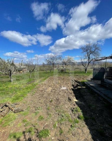 Casa cu 3 camere, 90 mp, 2 anexe gospodaresti si teren de 30 - 8