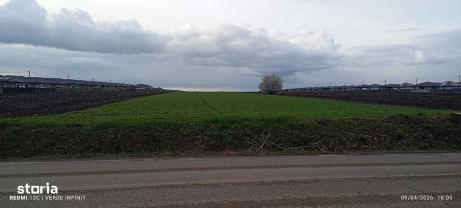 Teren Intravilan, Vorovesti 1 ha - 1