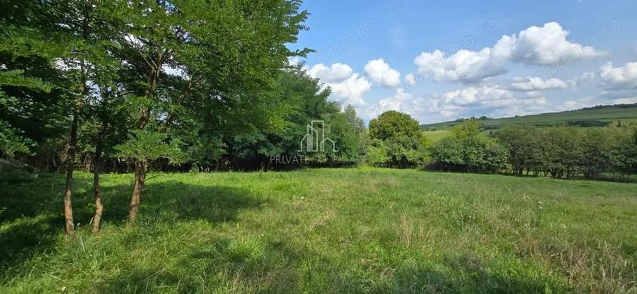 Teren, Albe?ti, str Podului - 1