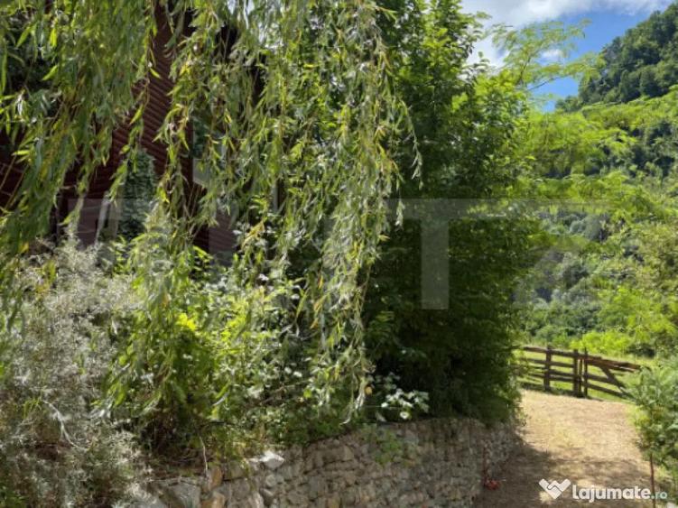 Casa de vacanta cu 4 camere, 1470 mp teren, Sugag - 1