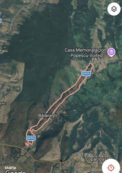 De vanzare padure 10 hectare, Balanesti, jud. Gorj - 1