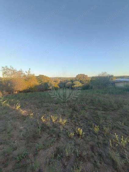 TEREN INTRAVILAN PLOPU//3000 MP - 5