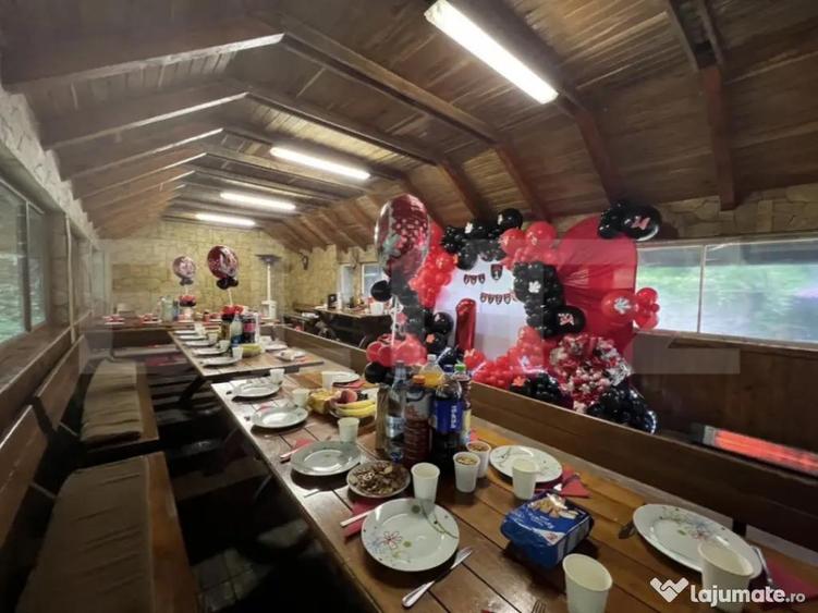 CABANA DACICA Refugiu premium la poalele Mun?ilor Dacici - 8