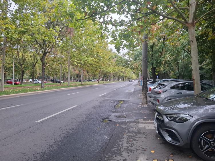 3 Camere | Camil Ressu | Luminos | Decomandat | ParkLake | Metrou - 2