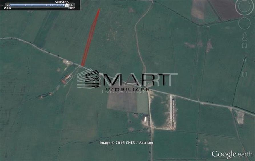 Teren intravilan 10.000mp la drum Calea Surii Mici - 3