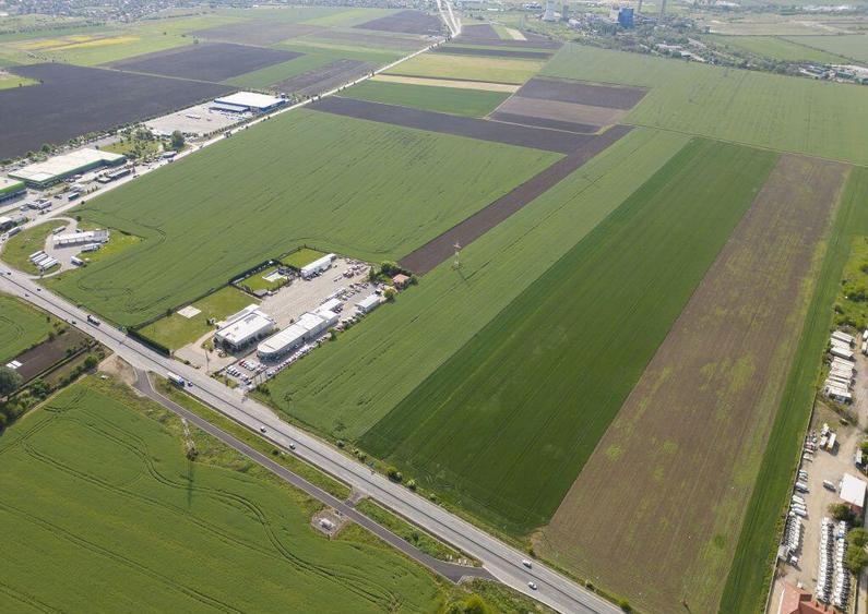 Teren 16.575 mp Arad / Soseaua DN79 - 2