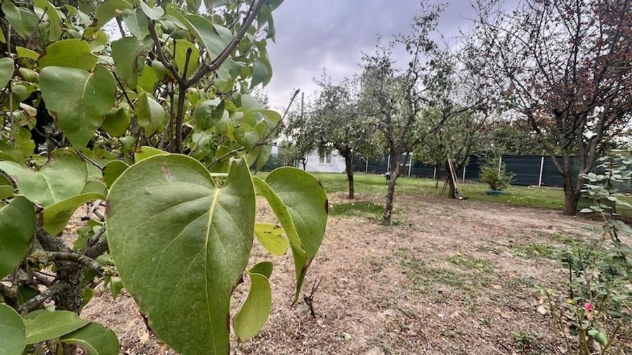 REV2003177 VILA DE INCHIRIAT BANEASA l POZITIONARE EXCELENTA - 1