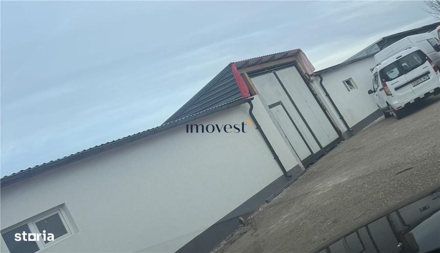 Hale industriale de inchiriat Parc industrial Careiului, Satu Mare - 6