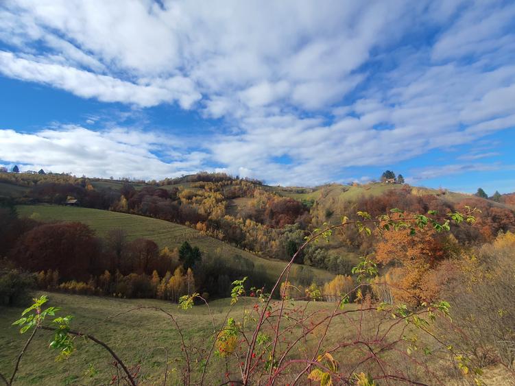 Teren Poiana Marului 4 euro/mp pretabil investitie - 1