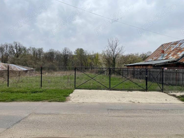 Teren intravilan 2326 mp Mislea, Scorteni, PH - 3