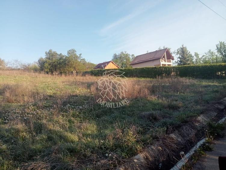 Teren intravilan 100 ari  front 80 ml utilități drum asfaltat Ghirolt Gherla - 5