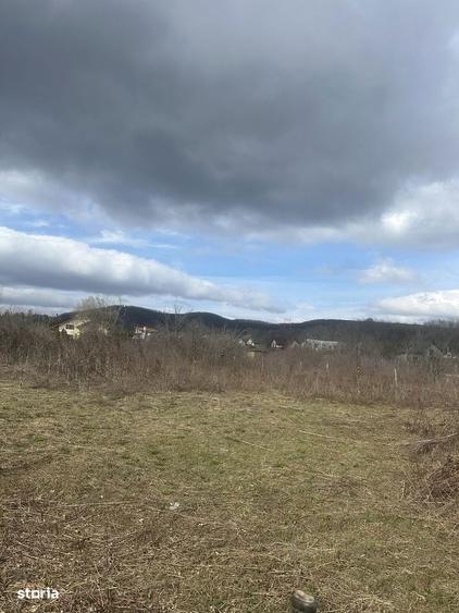 BANESTI - teren intravilan - 1035mp - 50 Euro/mp - 2