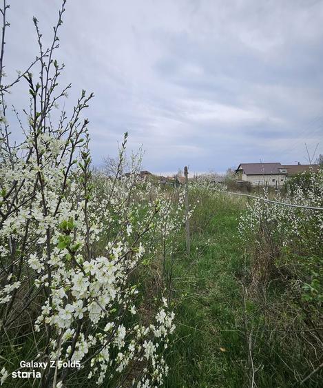 Teren cu casa renovabila oportunitate excelenta in Episcopia Bihor - 1