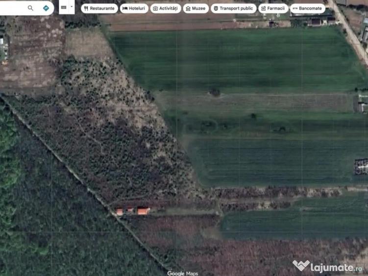 `Teren cu dubla deschidere, langa padure, Snagov - Strada Pa - 4