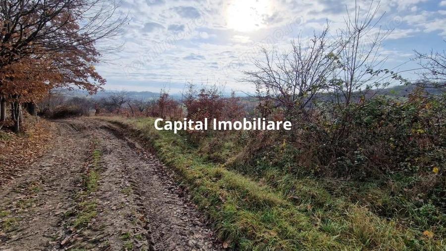 Teren de vanzare in Gro?i, Maramure?, 55 ari - 5