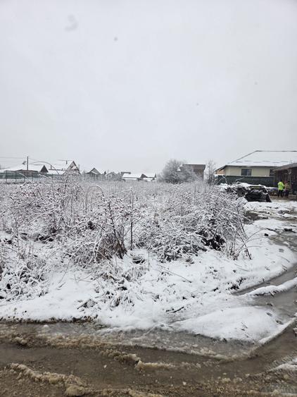 Vand teren prunilor - 2