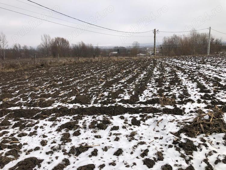 Casa de vanzare cu 16 ari teren Baline?ti Suceava - 6