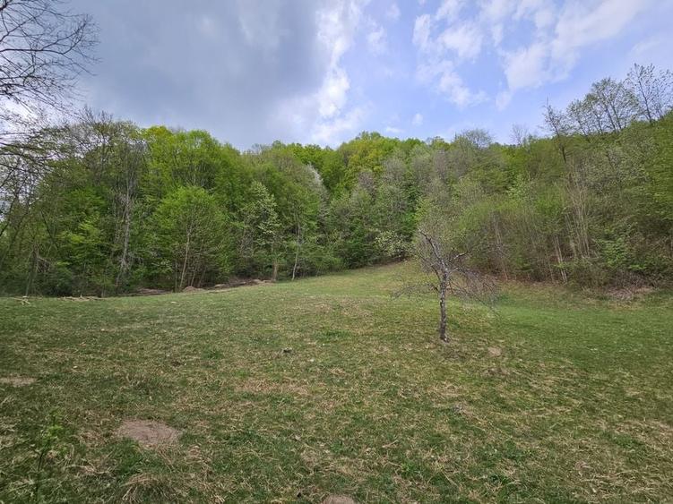 Teren intravilan 1454 mp la marginea padurii zona locuita de case! - 1