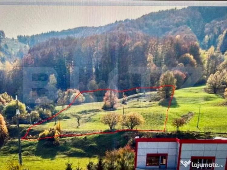Teren intravilan, Buc?oaia - Frasin, 9000 mp - 9
