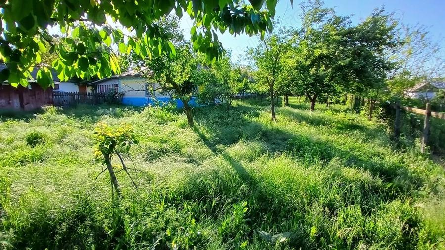 Casa 4 dormitoare Jud. Botosani, Com. Corlateni, Sat Vladeni - 9