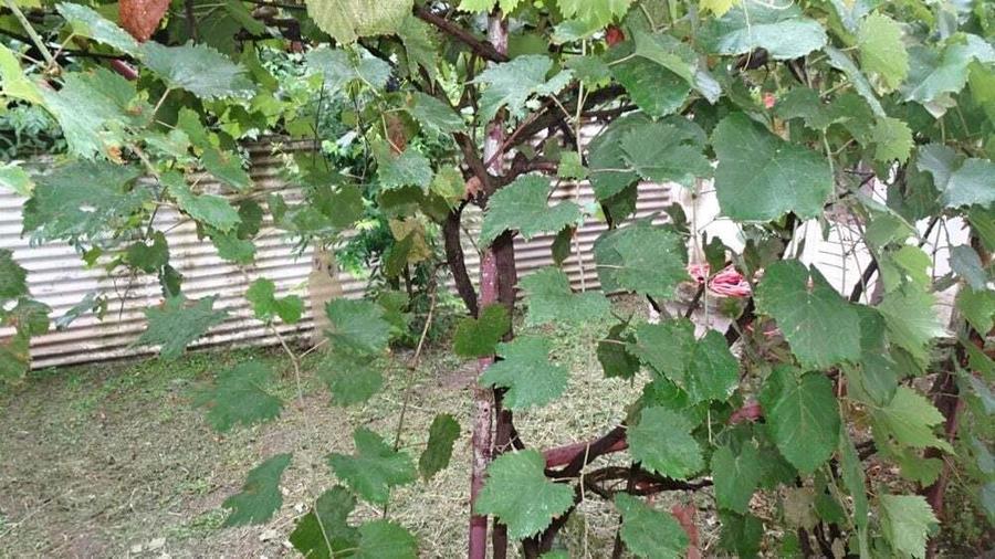 Vand casa in Deva, zona Aurel Vlaicu D+P+E, constructie din anul 2010 din BCA - 13