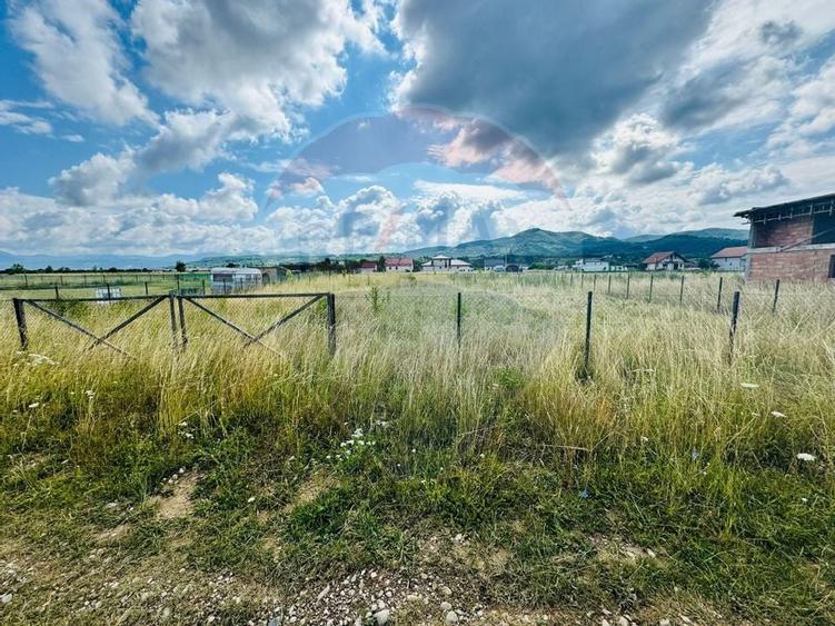 Teren 1,016mp Sighetu Marmatiei / Strada Doboies - 1