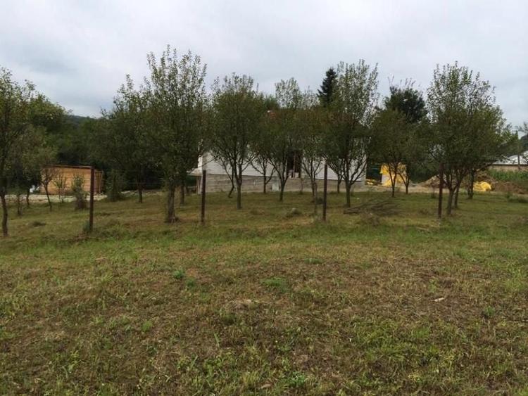 Teren intravilan Valea Lunga Cricov, jud Dambovita - 1