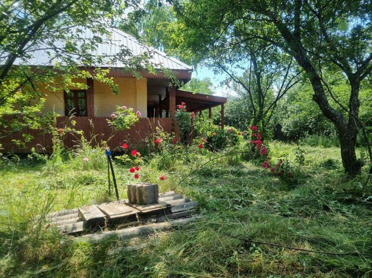 Casa si teren Comuna Fagetelu - 10