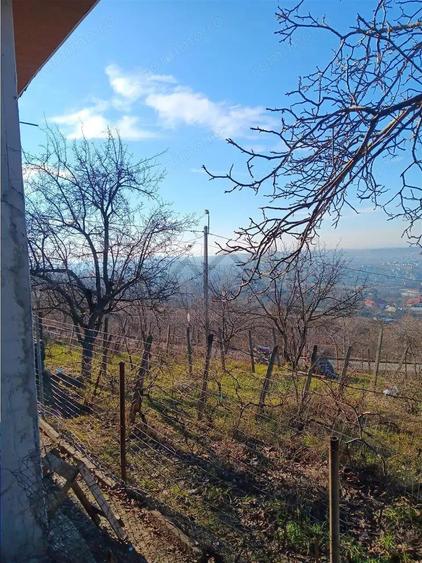 Bucium, Fundac Paun, teren1500mp. intravilan str asfaltata - 6