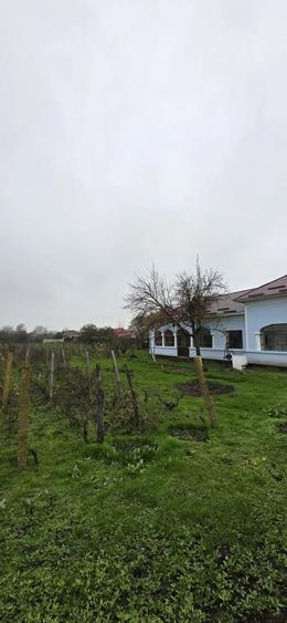 Casa de vanzare in Li?a (Teleorman) - 9
