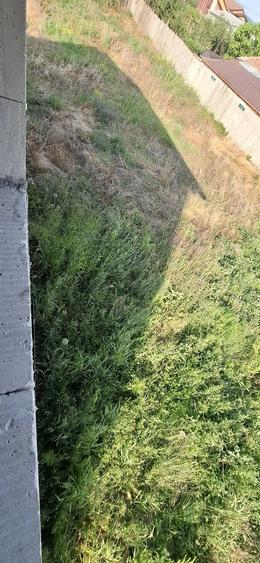 Vand Casa Walter Maracineanu nr.129 - 5