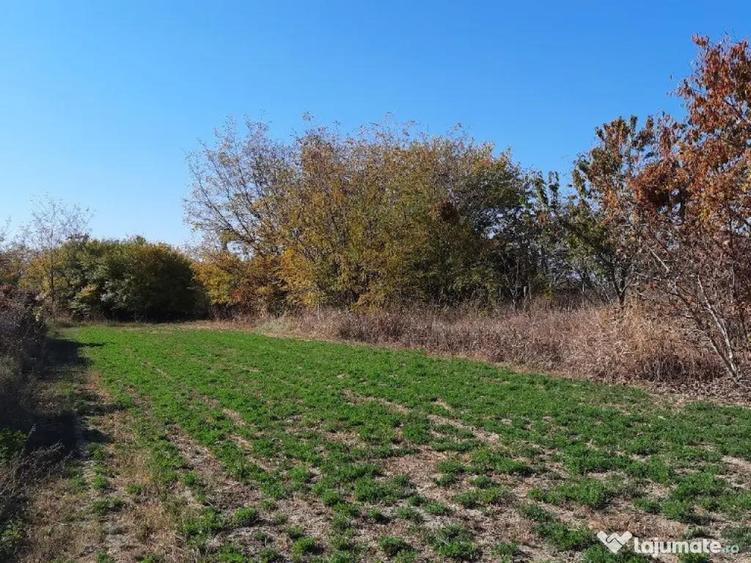 Vand proprietate in sat Brate?ti, com. ?irna, jud. Prahova - 15