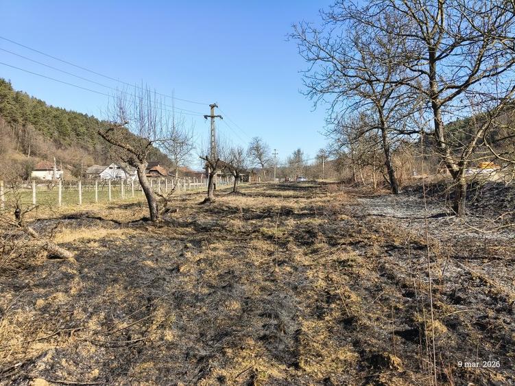 Vand teren intravilan Buciumi, 500e/ar fix. - 3