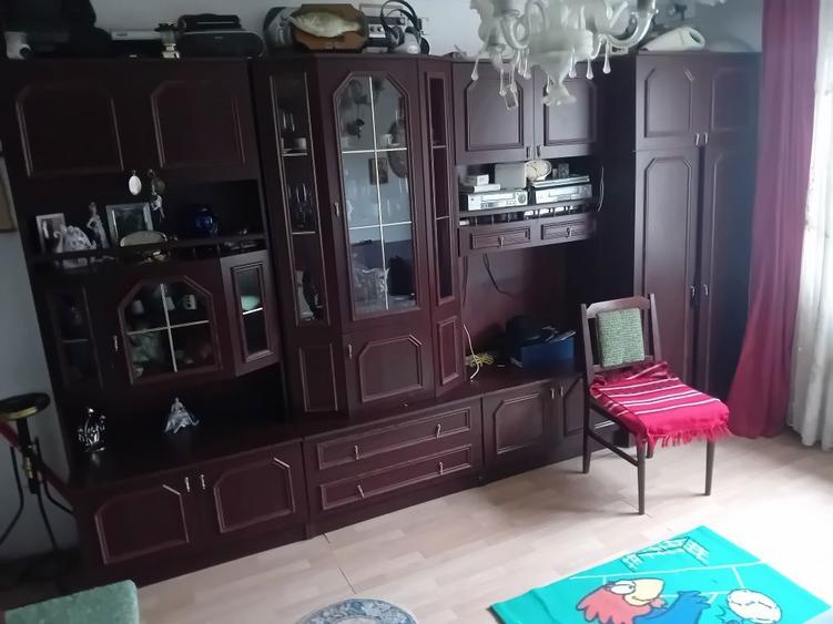 Ap 2 Cam Orion 40mp etaj 1 , mobilat centrala termopan - 4