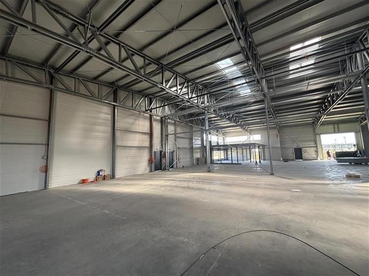 Vanzare depozit/hala/spatiu industrial Mogosoaia - Buftea - 9