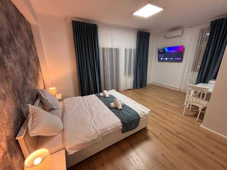 Se inchiriaza 3 garsoniere, Bd Ilie Balacin nr 40 , aproape de Stadionul Ion Oblemenco, centrul orasului, Parcul Nicolae Romanescu, Parcul Tineretului - 10