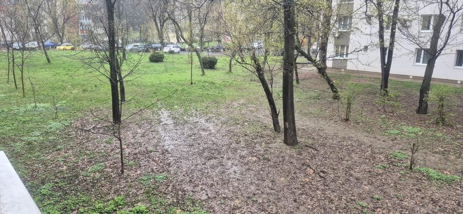 Apartament decomandat Liceul Eugen Lovinescu - Aleea Valea lui Mihai - 2